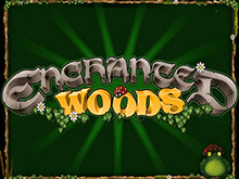 Играть в азартную игру Enchanted Woods